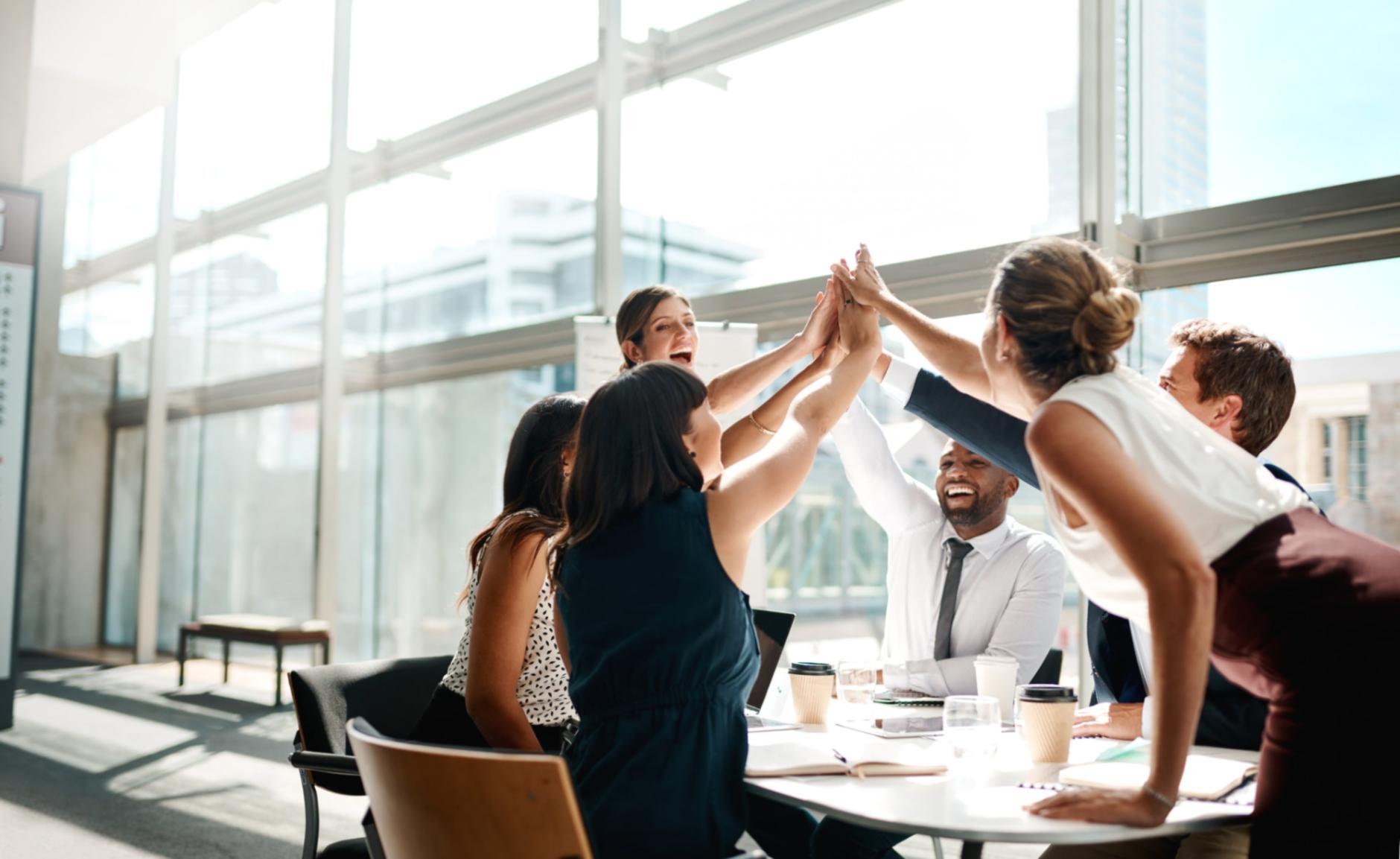 SEO-Expertengespräch über Strategien